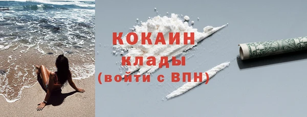 дживик Богородицк