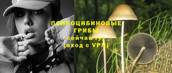 mdpv Бронницы