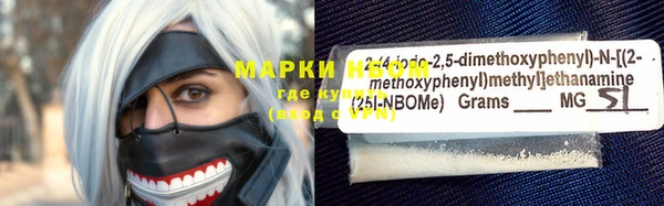 дживик Богородицк