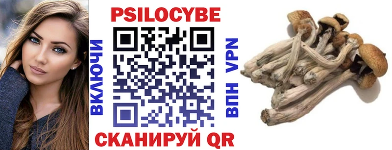 Псилоцибиновые грибы Psilocybine cubensis  Донской 