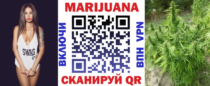 Канабис гибрид  блэк спрут ССЫЛКА  Донской 